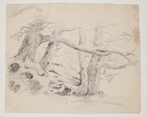 Meşe ve Baldıran Ağaçları (kağıt üzerine kurşun kalem) by Thomas Cole