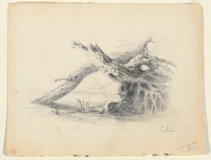 İki Ölü Ağacın Kroki by Thomas Cole