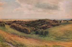 Arundel Parkı, 1874 by Thomas Collier
