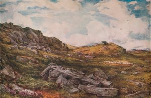 Blythburgh Ortak, 1888 by Thomas Collier