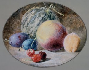 Meyve, 19. yüzyıl
