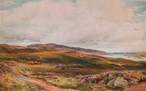Loch Korkusu, 1874
