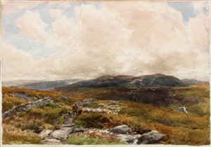 Moorland Sahnesi (kalem)