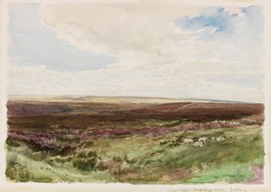 Hart Leap Well, Yorkshire yakınlarındaki Moorland (kağıt üzerine suluboya) by Thomas Collier