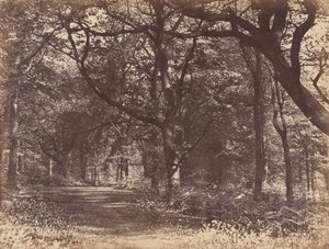 Ahşap sahne, Norton, Cheshire, 1856.