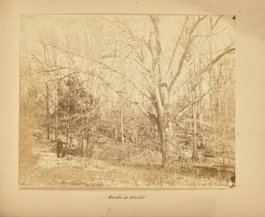  by Thomas E. Jevons