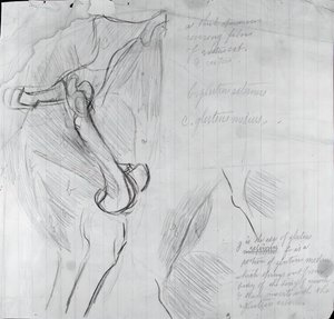 Anatomik Çizim, c. 1878. by Thomas Eakins