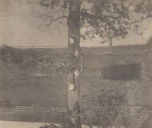  by Thomas Eakins