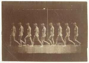 Tanımlanamayan Modelin Marey Tekerlek Fotoğrafları, 1884. by Thomas Eakins