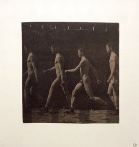 Tanımlanamayan Modelin Marey Tekerlek Fotoğrafları, c. 1884. by Thomas Eakins
