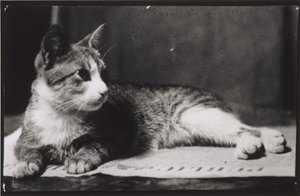 Bayan Thomas Eakins