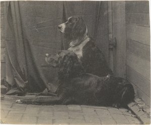 [Thomas Eakins