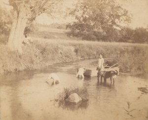 [Üç Çocuk ve Derede Oynayan Bir Köpek, 4 Temmuz 1883], 1883., 1883. by Thomas Eakins