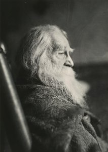 Walt Whitman, Camden, N.J., c. 1891. by Thomas Eakins