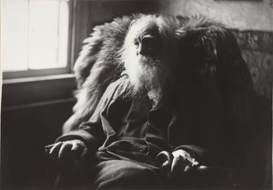 Walt Whitman, Camden, N.J., c. 1891. by Thomas Eakins