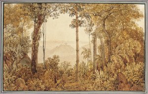 Tijuca ormanından Rio de Janeiro