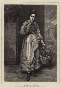 Menekşeler ve Primroses