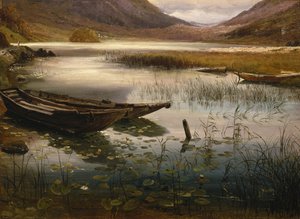 Tekneler ve Nilüferler by Thomas Fearnley