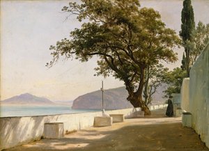 Meşe, Sorrento ile Teras by Thomas Fearnley