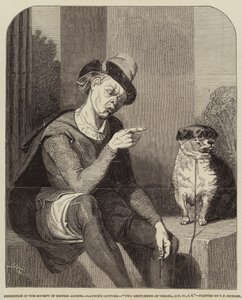 Launce