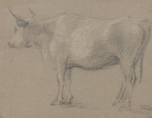 Bir İnek Çalışması by Thomas Gainsborough