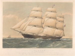  by Thomas Goldsworth Dutton