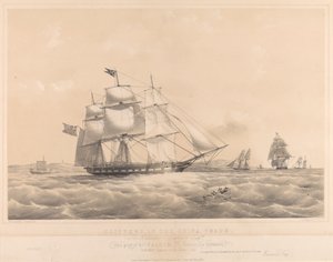  by Thomas Goldsworth Dutton