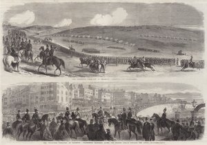 Brighton'da Gönüllü Tarla Günü