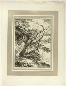 Old Tree, Numunelerin Polyautography