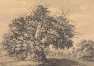 Little Wymondley, Hertfordshire'daki Kestane Ağacı by Thomas Hearne