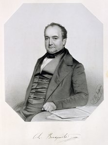 Charle Lucien Jules Laurent Bonaparte, Canino ve Musignano Prensi (1803-57) 1850