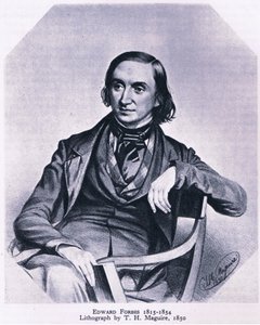 Edward Forbes (1815-1854), İngiltere
