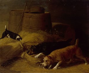 Arpa Kasnakları Arasındaki Fareler, 1851.