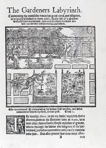 The Gardeners Labyrinth, 1577