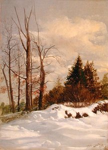 Catskill Kış Manzarası