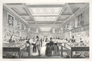 British Museum, Zoological Gallery, 