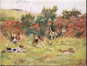 Bir tavşanı kovalamak, "Hounds"dan bir örnek