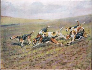 Tarlaları Geçmek, "Hounds"dan bir örnek
