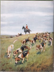 Fox Hunting, 