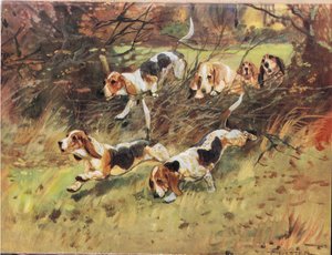 Hedgerow aracılığıyla, 'Hounds'dan bir illüstrasyon