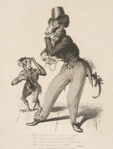 Monkey Dandy, Monkey-ana