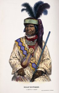Billy-Bowlegs, Bir Seminole Şefi, 1899