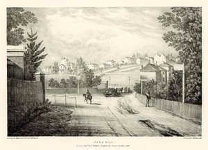 Herne Tepesi, Londra by Thomas Mann Baynes
