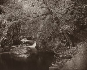 Dargle Deliği, c. 1865. by Thomas Marcus Brownrigg