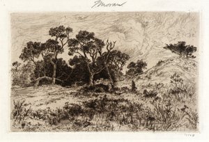 Güneyden Esen Rüzgar by Thomas Moran