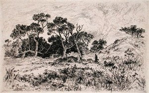 Güneyden Bir Rüzgar ve Bulutlu Bir Gökyüzü Onu Av Sabahı İlan Ediyor (gravür) by Thomas Moran
