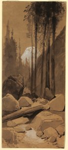 Çizim, Yosemite Vadisi