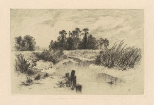 Newark Çayırlarında by Thomas Moran