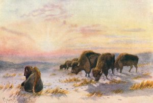  by Thomas Mower Martin