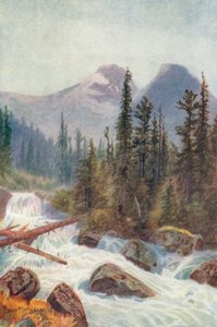 Glacier Crest, Illecillewaet (renkli lito)